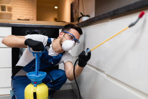  Virden, IL Pest Control Pros