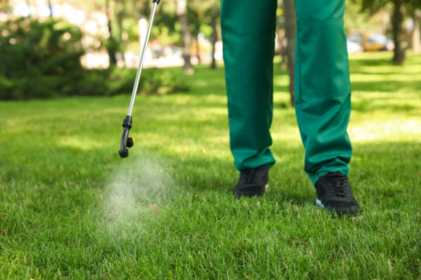 Best Insect Control  in Virden, IL