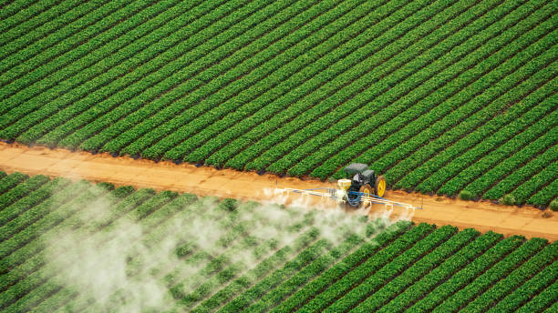 Best Commercial Pest Control Services  in Virden, IL