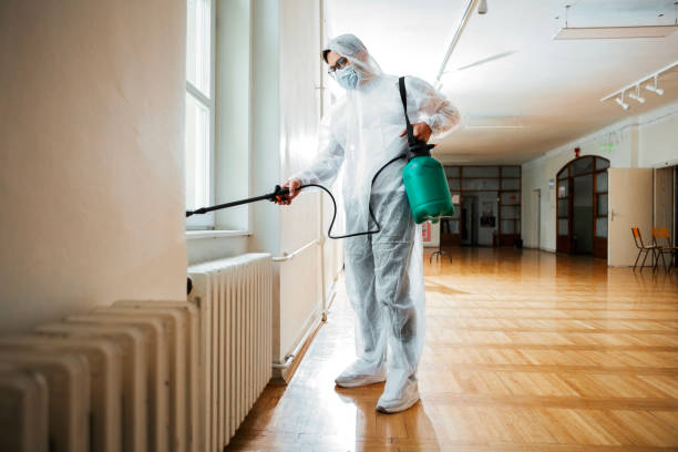 Best Insect Control  in Virden, IL