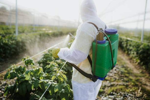 Best Best Pest Control Companies  in Virden, IL